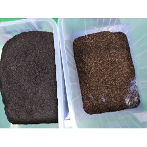 Wenyao CCD Tea Grading Machine For Black Tea Green Tea Color Sorting Machinery