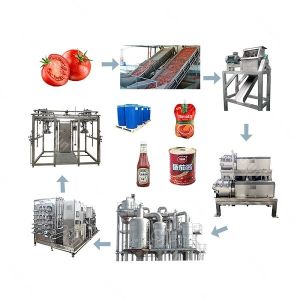  SUS 316 Mechanized Tomato Ketchup Machine 500kg/H Concentration System Manufactures
