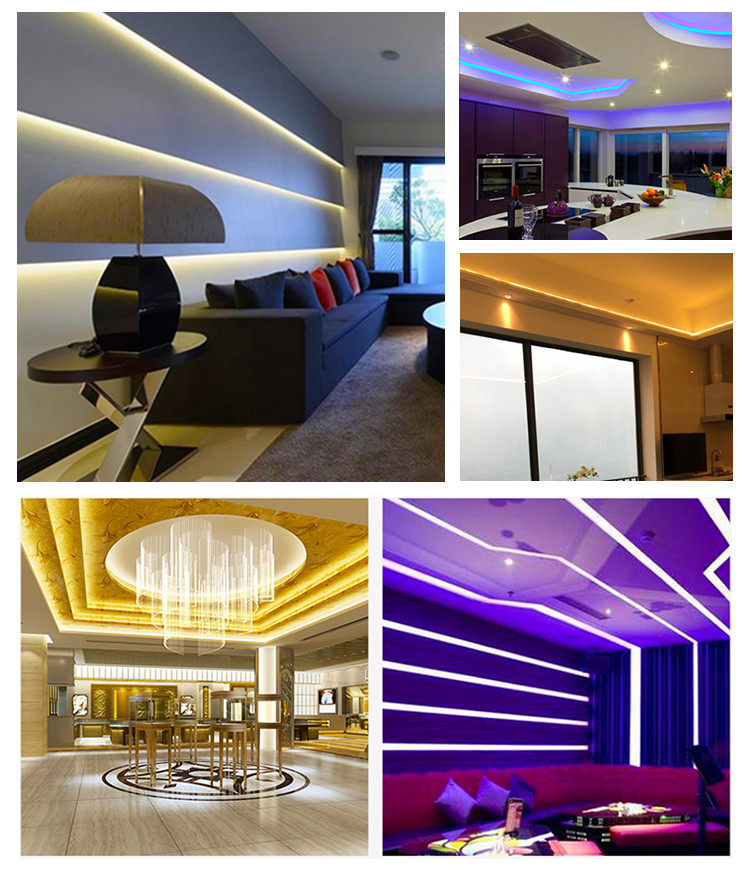Versatile 240V/230V/110V/220V RGB 5050 Smart LED Strip Lights Plastic Body Color Change Light Strings for Landscape
