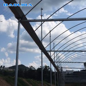 China High Straight Wall Wind Resistant Multispan Greenhouse With Gutter on sale