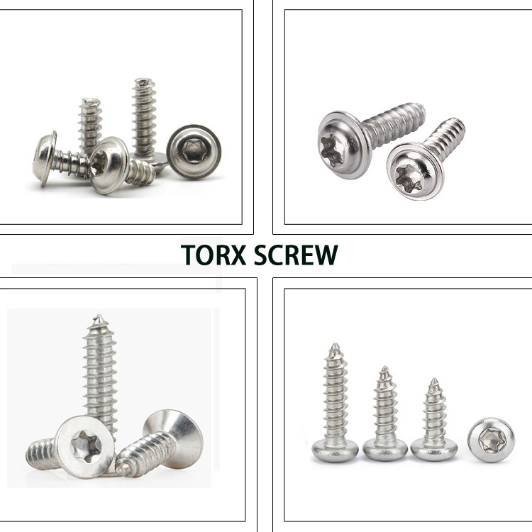 Screw head type Pan Metric Zinc Plated Torx Head Self-Tapping Screw for Plastic