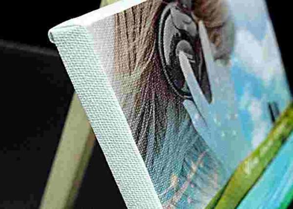 Matte Sheepskin Effect Ecosolvent Inkjet Receptive Coating Used For Wall Fabrics