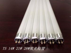 China T5 14W 21W 28W fluorescent tube lamp on sale