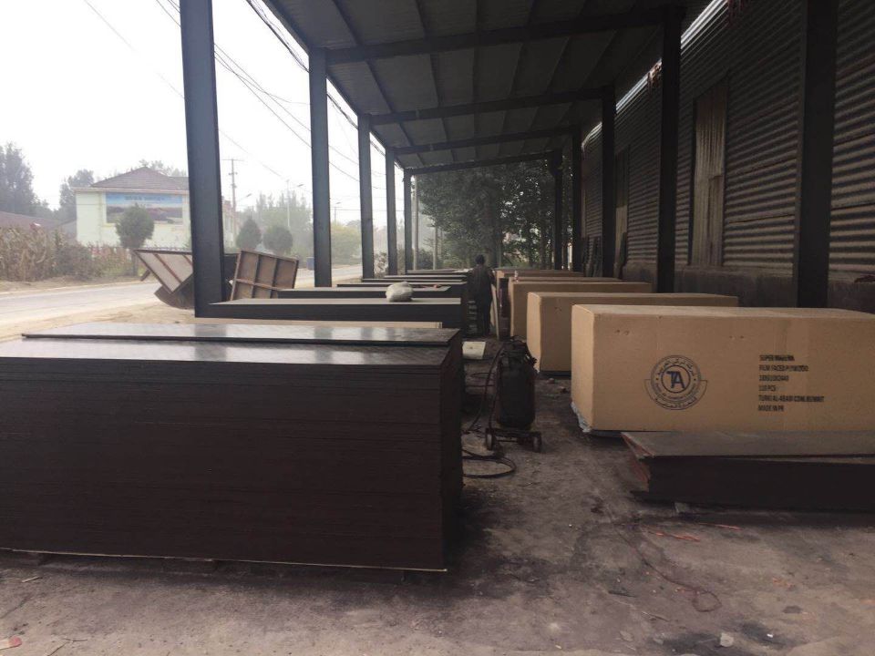 Construction Two Times Hot Press 4x8 Plastic Film Faced Ply