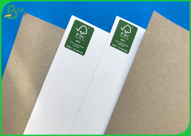 One Side White Duplex Board Roll Custom Size 230GSM 250GSM 300GSM Good Stiffness