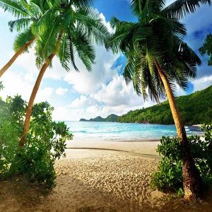  Printed roller zebra blinds and fabric /Motorized roller blinds for window / 3D printed roller shade Manufactures