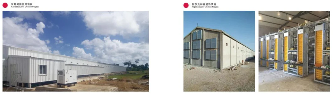 High Quality Broiler Chicken Cage Equipment