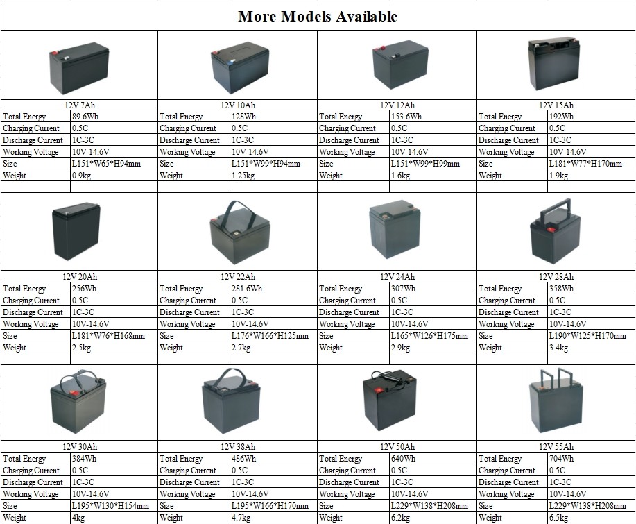 Customized LiFePO4 12V Lithium Ion Rechargeable Battery Pack For Various Applications