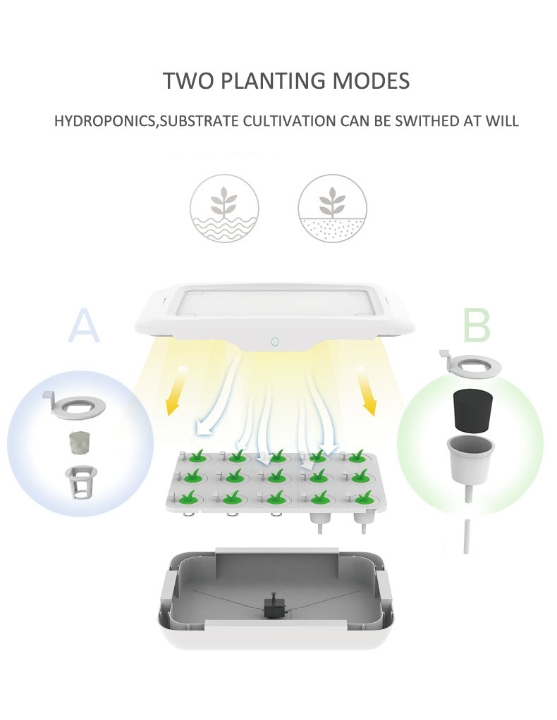 Vegetables Crops LED NFT Indoor Hydroponic Systems
