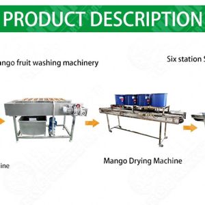 Potato Lettuce Cucumber Processing Line Food Processing Washing Machine Fruit