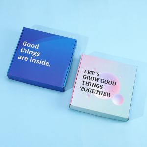 Custom Colored Mailer Box for Durable Apparel Packaging Logo Printed and Durable