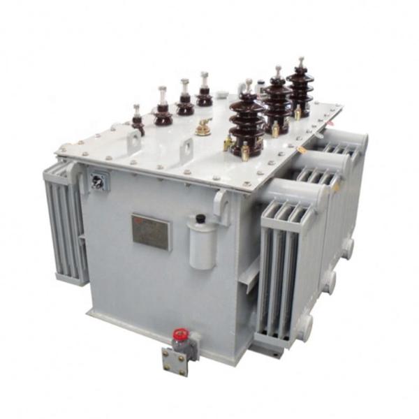 High Voltage Oil Immersed Distribution Transformers, Manufacturer of Distributio