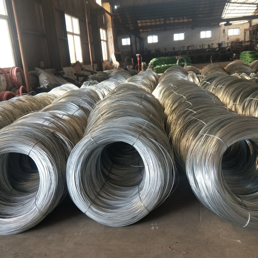 5.5mm Galvanized Steel Wire Rope Nylon PA12 Coated Galvanized Iron Wire