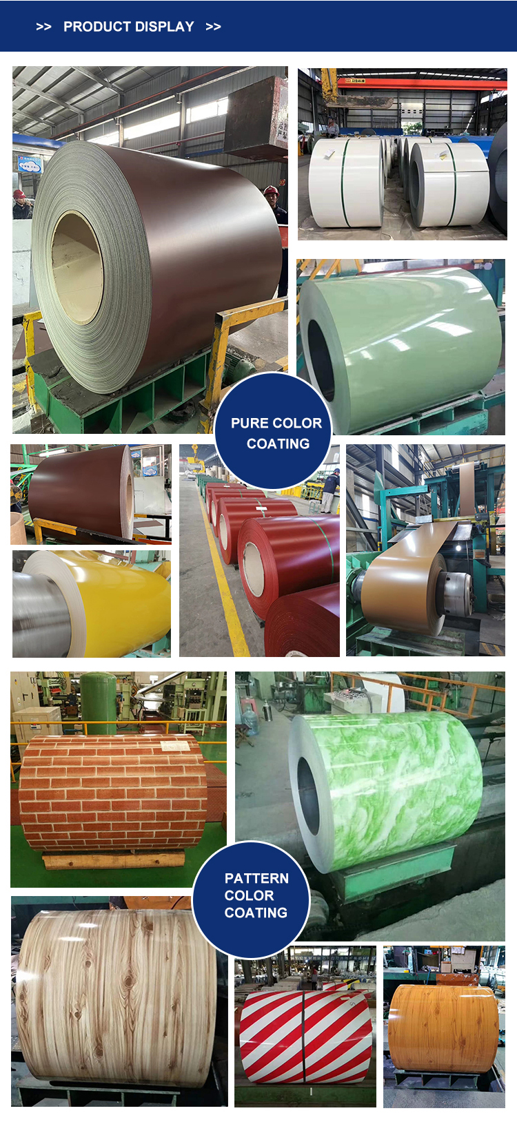 PE HDP SMP PVDF 1500mm PPGI Coil Color Coated Steel Coil Pre Coated Galvanized Steel Coil with GS Standard Type of Paint
