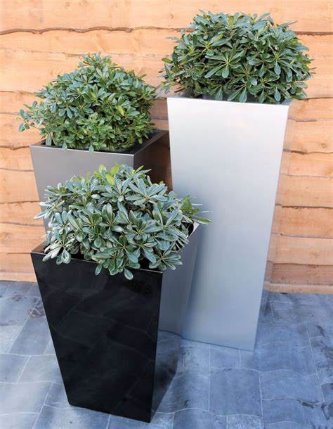 Modern Fiberglass Flower Pots Real or Artificial Tree Planters Customizable