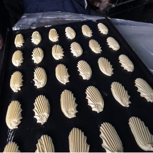 Full Automatic functional small biscuit making machine/machine biscuit/biscuit