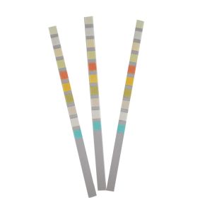 Glucose Bilirubin 10 Parameter Reagent Test Strips urine dipstick