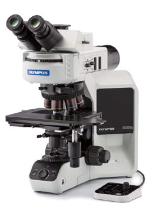 Metallographic microscope BX53M