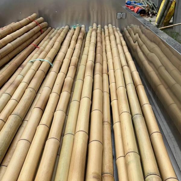 Wholesale Price Natural Moss Plant Pole Moss Stick For Climbing Plants Moss