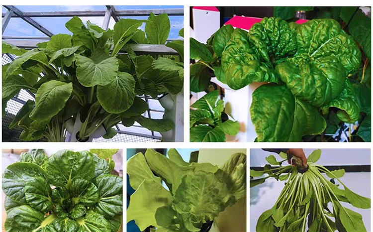Perfect Vertical Column Hydroponic Aeroponic Planting System Aeroponic Growtower