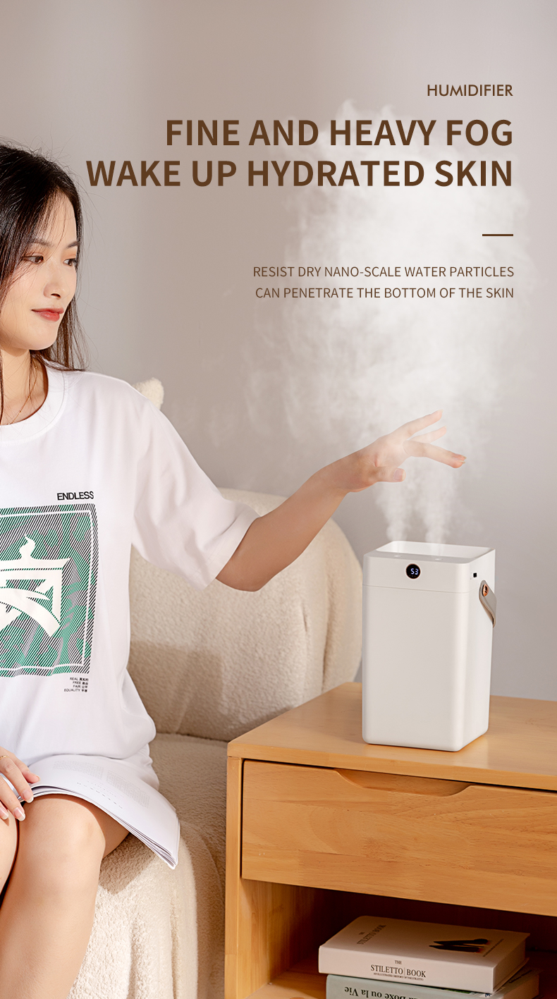 HOMEFISH Desktop 3L Double Spray Portable Ultrasonic Air Humidifiers For Office