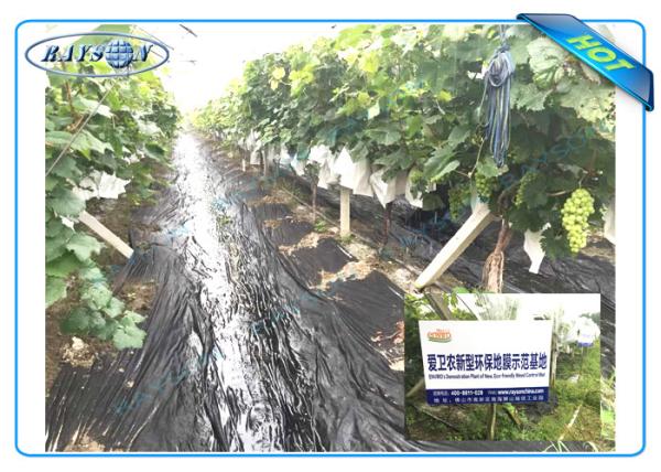 Anti UV PP Non Woven Landscape Fabric for Agricultural Area as Ground Coverings