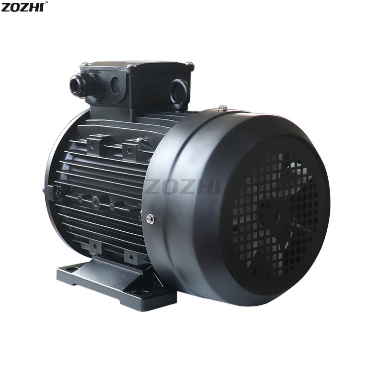 hollow shaft electric motor