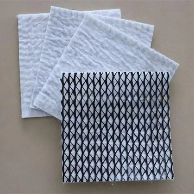 50m/100m Length HDPE Mesh 3D Composite Drainage Composite Geo Net in Black White