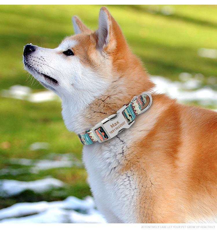 Personalize Design Harness Leash Set Injury Free Wearable For All Seasons
