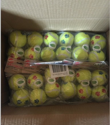 6pcs pet dog chew doys tennis balls funny pet cat toy balls