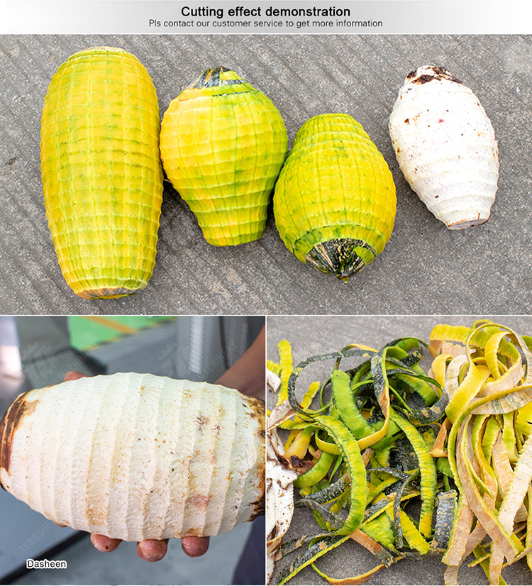 Melon and fruit double-head with single cutter peeling machine papaya chieh-qua pumpkin wax gourd Peeling & polishing