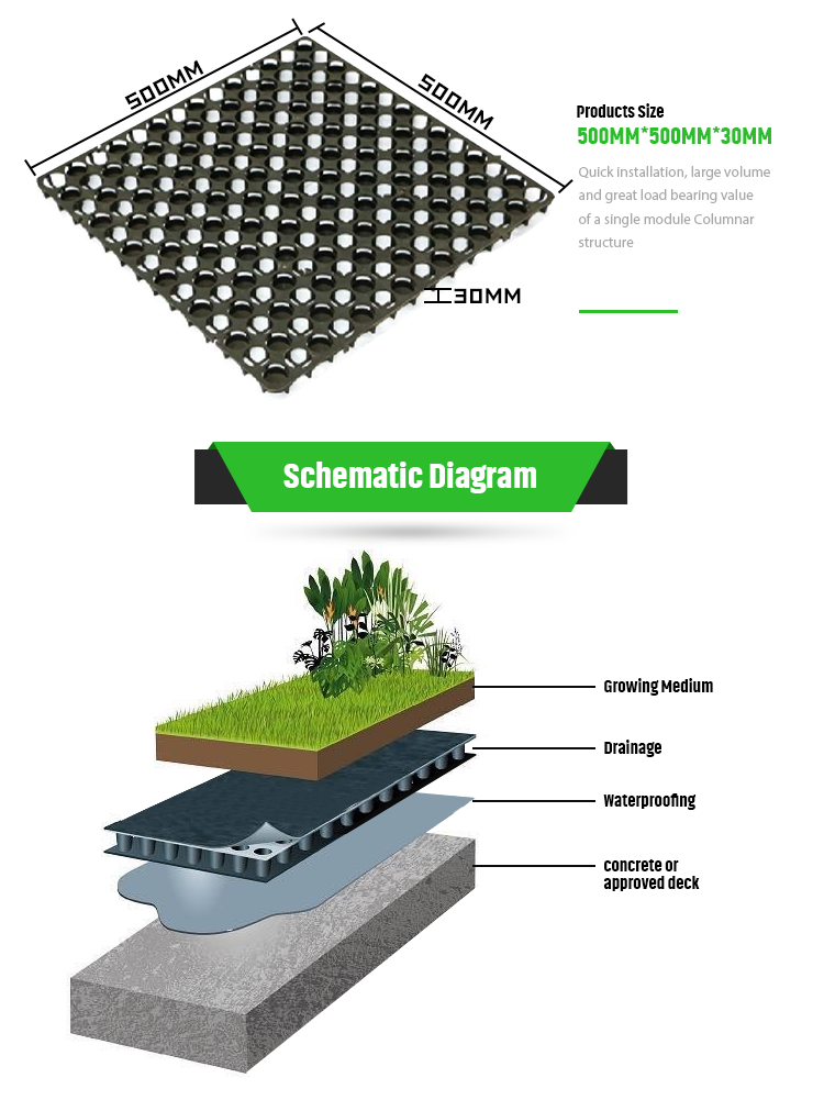 Roof Greening And Reduce Water Pressure HDPE Dimple Geotextile Membrane
