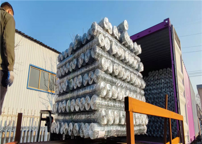 Buiding Decorative 1 Inch Galvanized Welded Wire Mesh