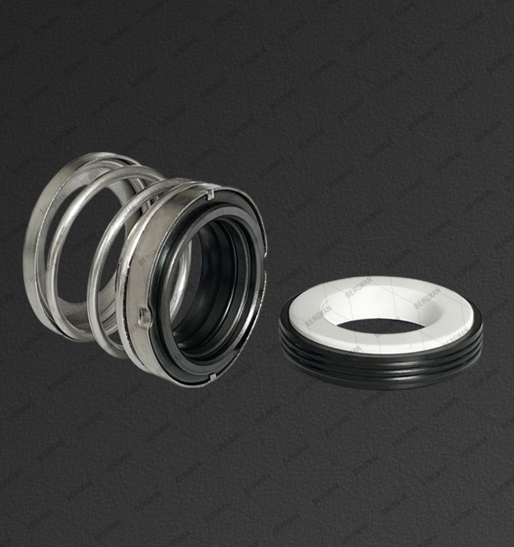 BERGMAN 560C-10 12 14 15 16 18 19 20 22 25 28 30 32 35-60mm Pump Mechanical Seal