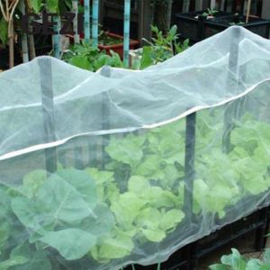Anti Insect Aphid Drosophila Fruit Fly Protection Net hdpe Mesh Fabric for