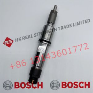 China Genuine Diesel Common Rail Disesl Injector 0445120196 10117168 10490018 on sale