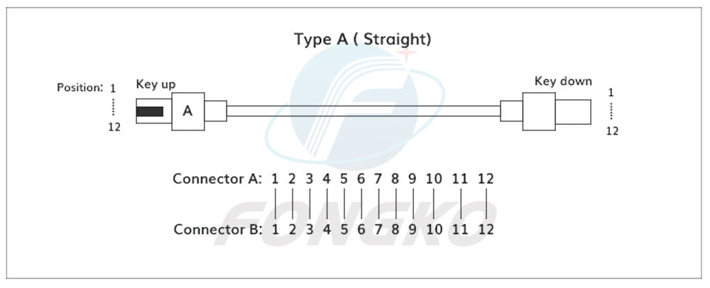 Single Mode 0.9mm lc MPO To SC Mtp Fanout Cable 0.5m 12 Fiber