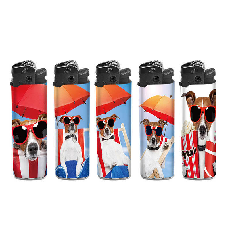 Disposable/Refillable Cricket Lighter Wholesale Price Cigar Lighter