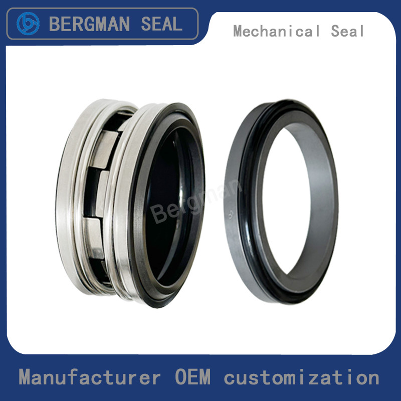 BERGMAN Replaces John Crane 2100-S 12mm-100mm G60 G4 G6 G9 G13 G16 BS Bo BP Pump Mechanical Seal