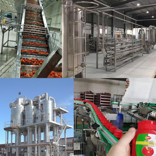 Industrial Vegetable Juice Production Line SUS304 Special Machines For Vegetable