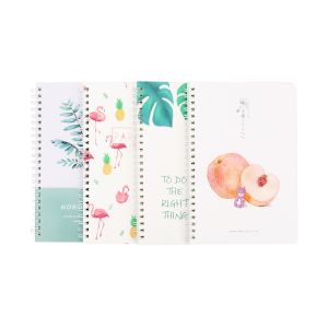 Art diy Spiral Bound Book custom spiral binding book printing
