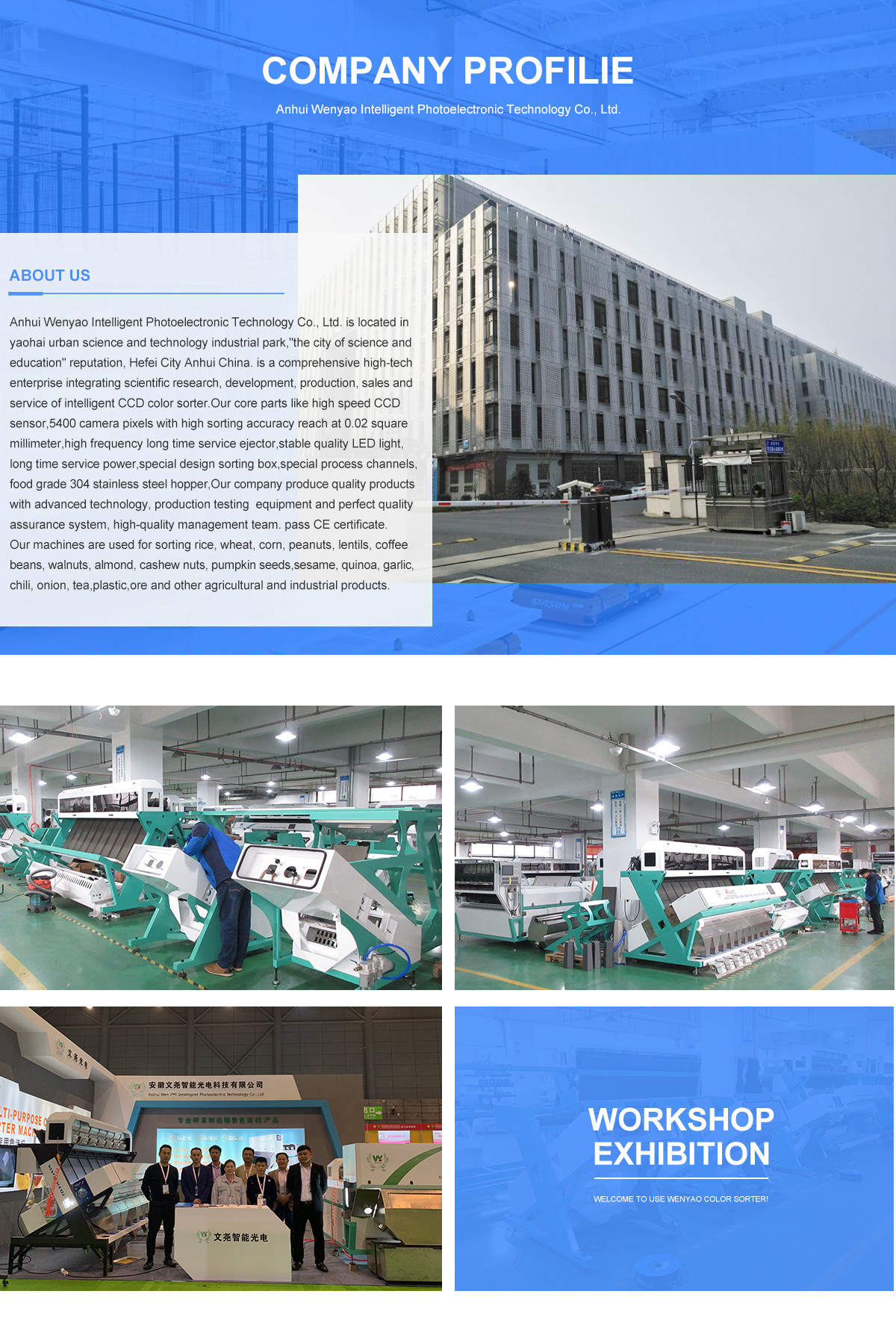 Digital Optical CCD Sunflower Seeds Color Sorter Machine For Sorting All Kinds Of Seeds With Best Factory Price