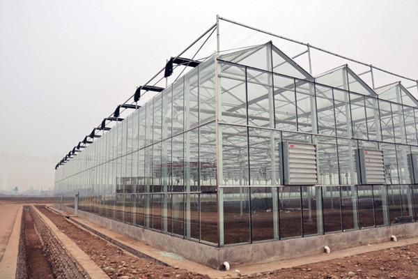 Double Layer Commercial Glass Greenhouse Side Wall Height 2.5-6m With Heating