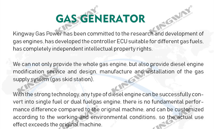 Power plant use container Natural Gas Generator 800kw 1000KW Silent Single Phase three phase 380V/220V Auto Start Brushless