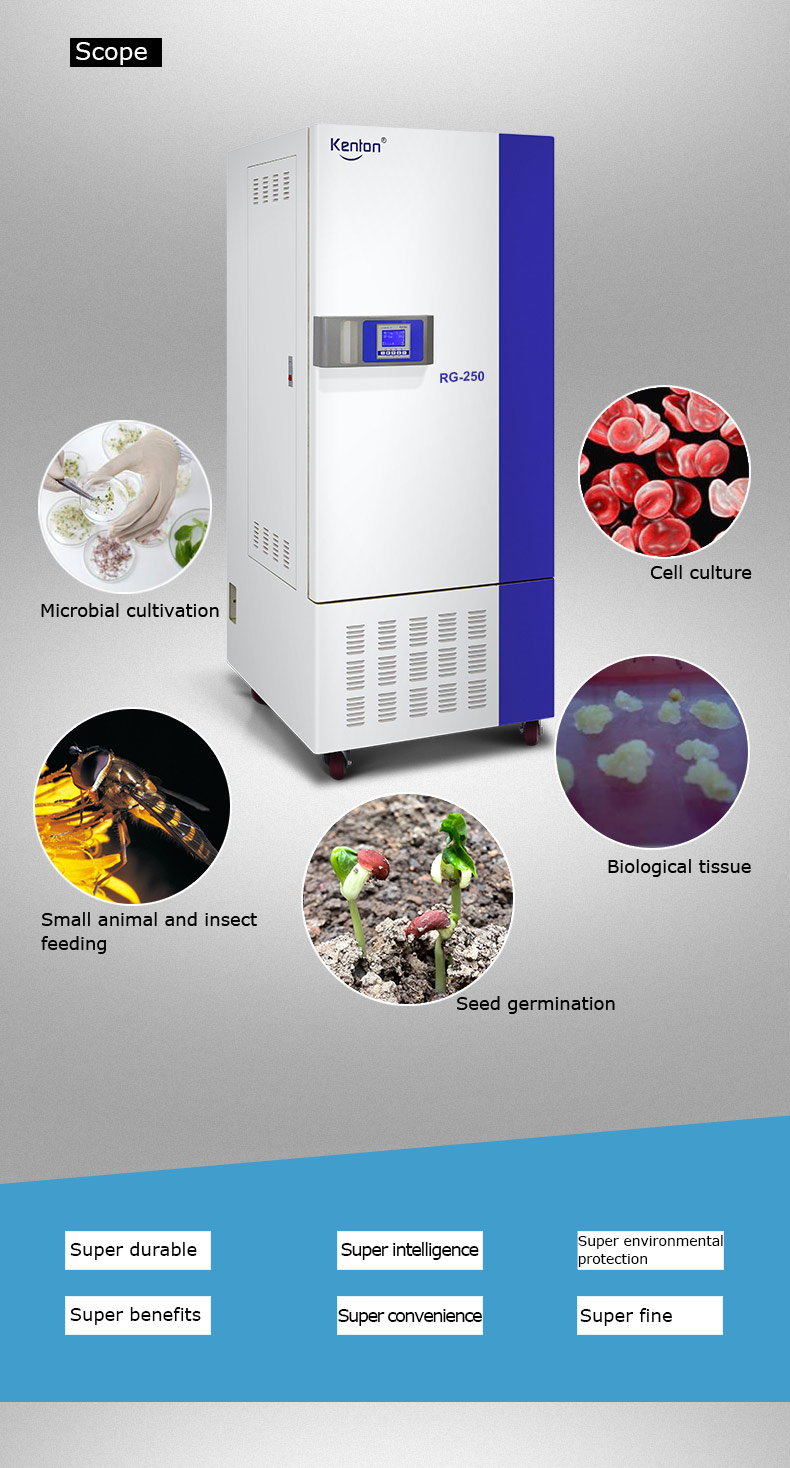 Environmental Climate Test Chamber 300L Lab Constant Temperature Humidity Incubator