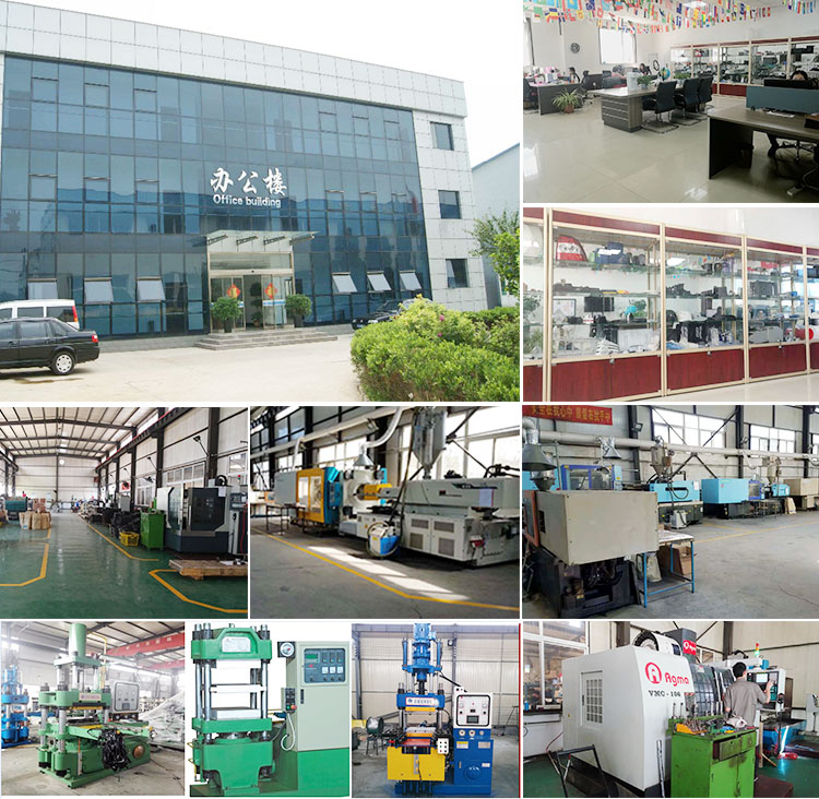Custom Alloy Die Casting Molding Mould with UG or Pro/E Design Software