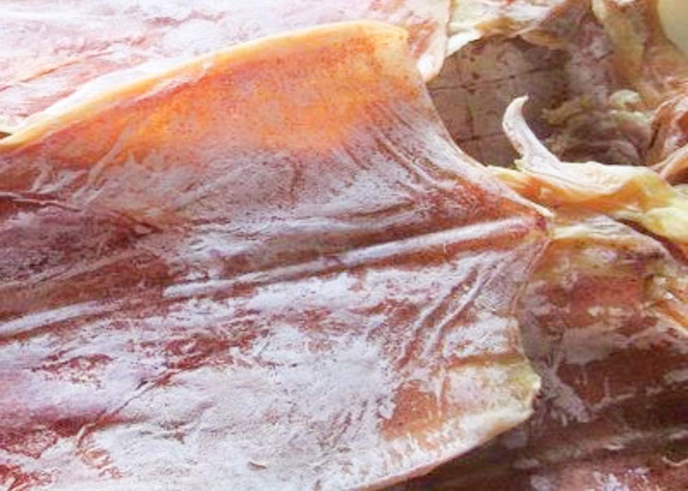 Delicious Healthy Squid Todarodes Pacificus Dried Seafood Whole Round Iso Cettification