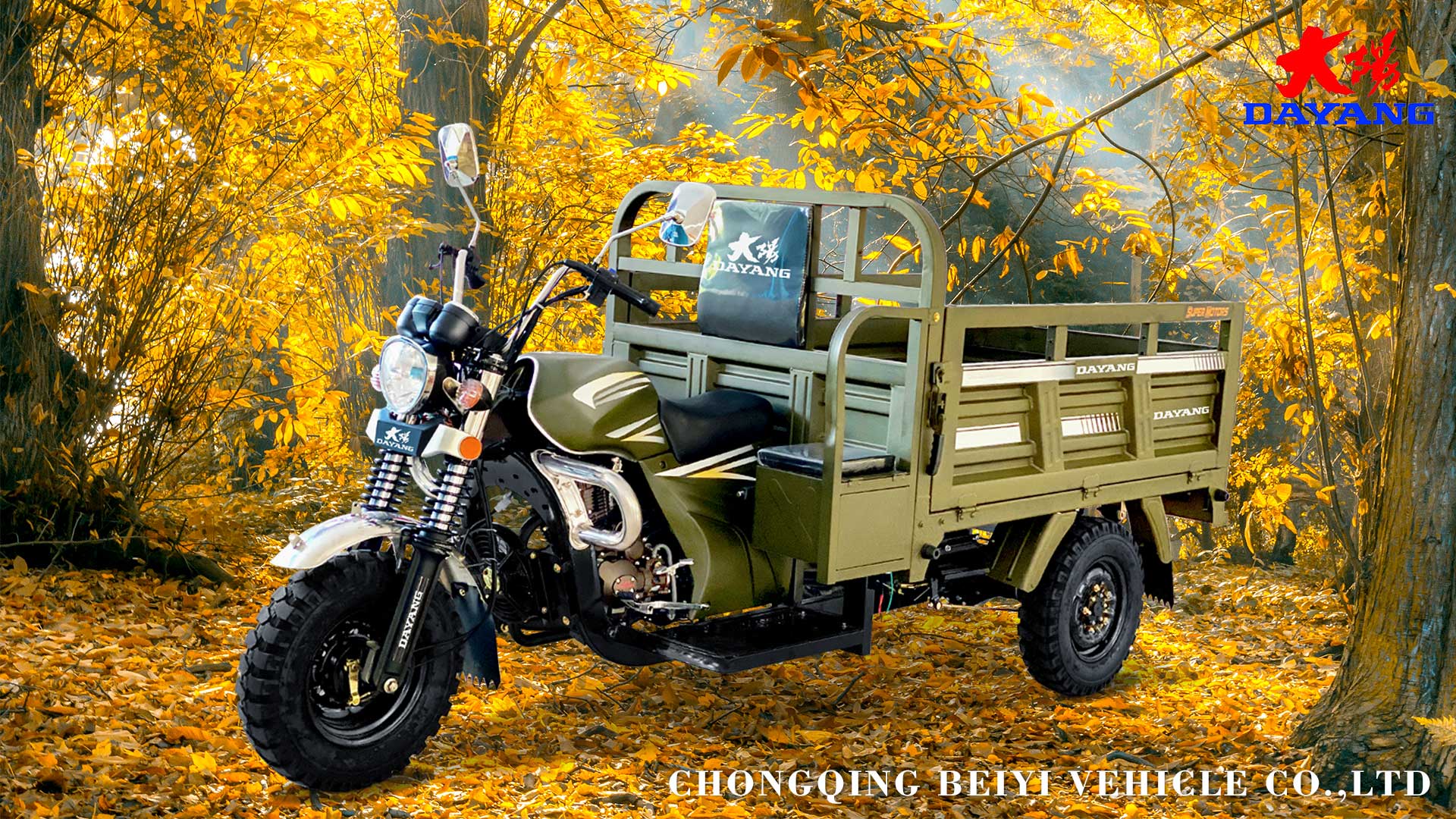 Global Market Open Body Type Three Wheels Motorcycle with Front Drum Brake