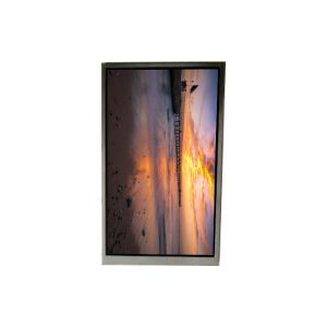  BS052FHG-E40-6C00 5.2 inch LCD Display LCD screen PANEL Manufactures