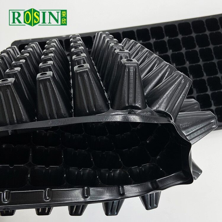 Custom PVC Plastic Black Plastic Seed Trays 288 Hole For Agricultural Planting